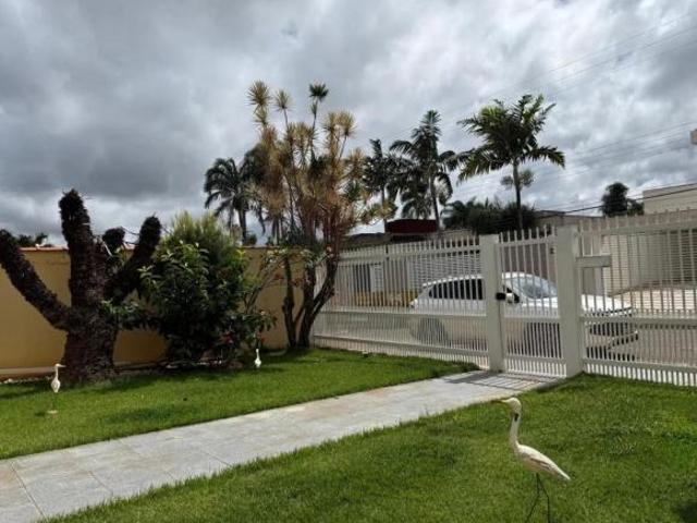 Raridade no lago sul