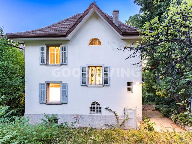 Rarität mit Potenzial am Zürichberg