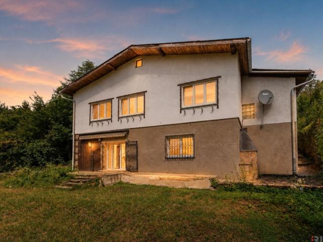 Rarität / Südhang / Bach / Biotop / Absolute Ruhelage an der Waldgrenze