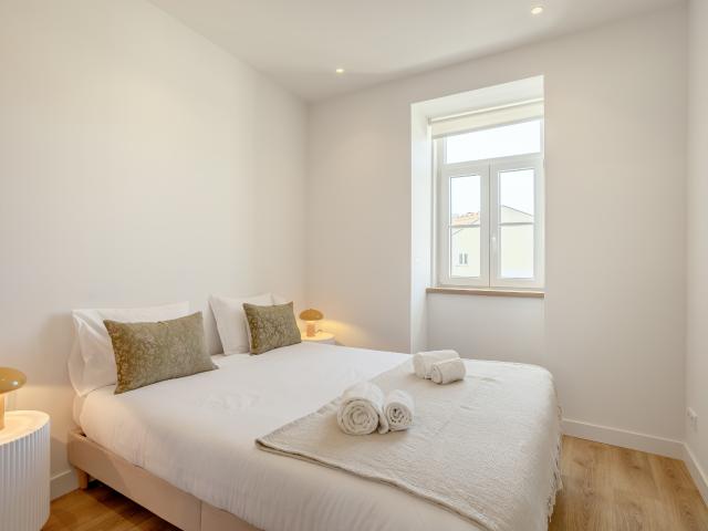 RATO MODERN by Homing