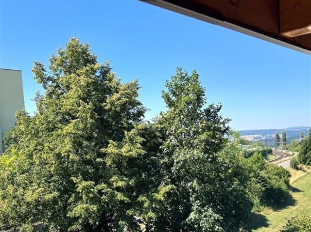 Raum für Ihr Lebensgefühl 6 ½ Zimmer Reihen Mittelhaus in Berikon