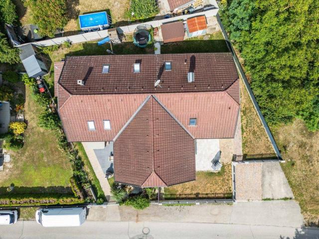 Raum für Ihre Ideen, Wurzeln für Ihre Familie