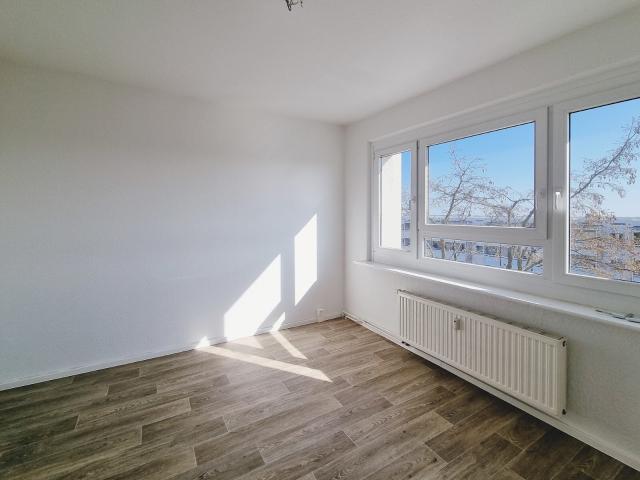Raumwunder mit Wohlfühlgarantie in Dresden Cotta! Wir renovieren 4 Zimmer Wohnung!