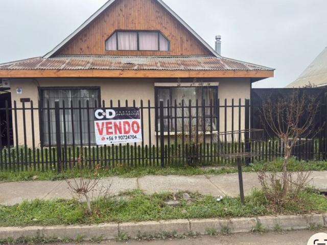 Rauquen curico
