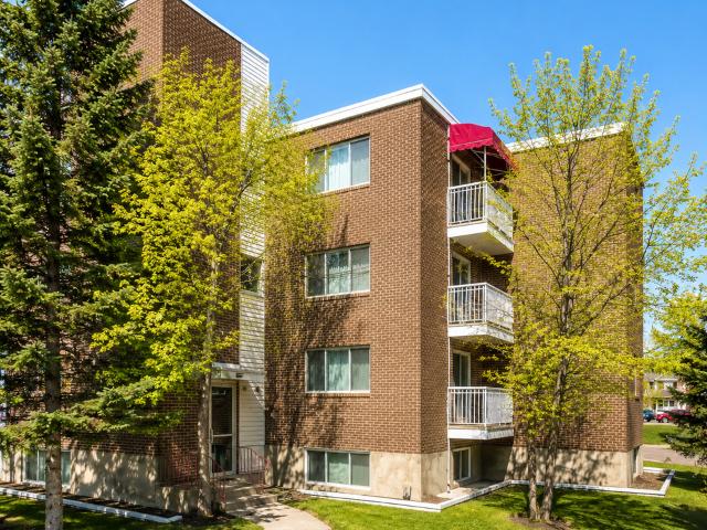 Ravine View 1 Bedroom Apartment for Rent at 9956 79 St Nw, Edmonton, AB T6A 3G1 Forest Heights