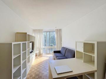 Charming furnished studio facing the Bois
