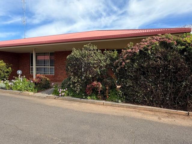 Ray White Real Estate Parkes