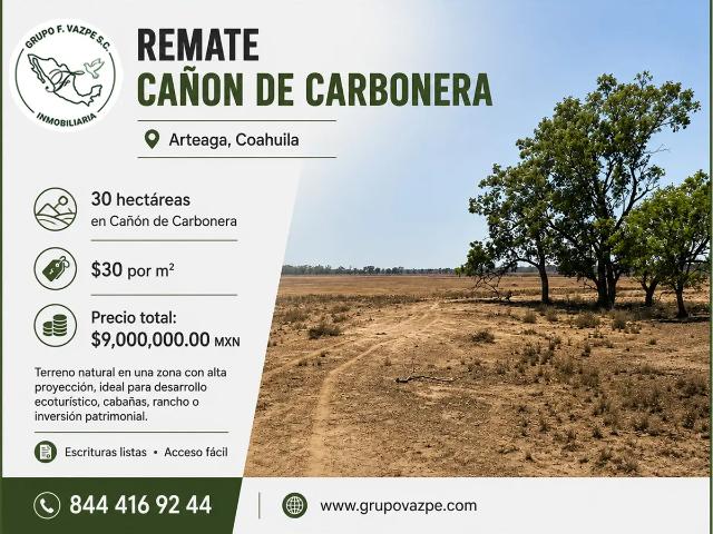 Remate Cañón de Carbonera | 30 Hectáreas | Arteaga, Coahuila
