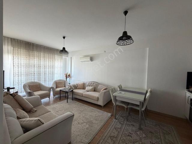 Remax Arma’dan Havuzlu Sitede Kiralık Full Eşyalı 1+1 Daire