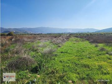 Selçuk, İzmir ili, Ege Bölgesi - Open space