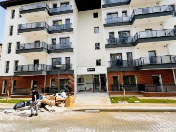 Körfez, Kocaeli, Marmara Bölgesi