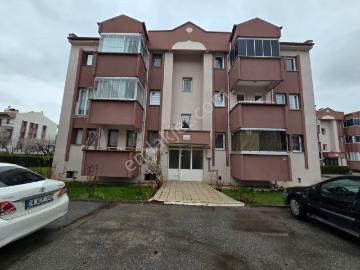 Erzincan, Erzincan ili, Doğu Anadolu Bölgesi