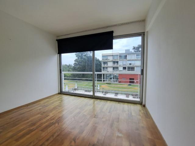 REMAX GO