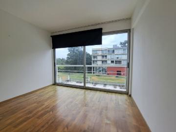 REMAX GO