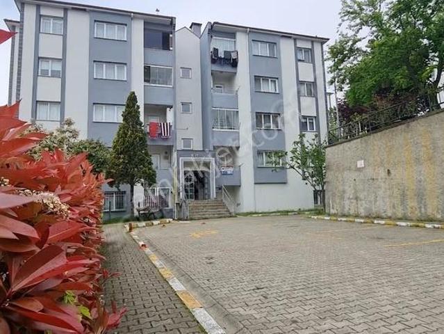 Remax Mavi Korucuk'ta,yüksek Giriş,3+1,satılık Daire