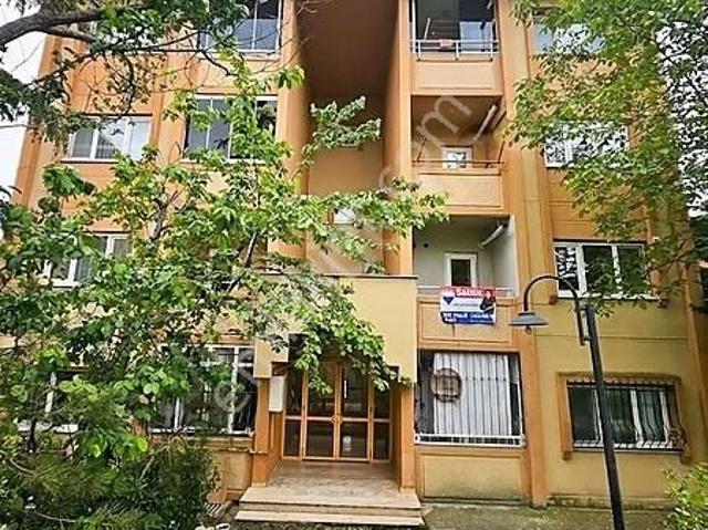 Remax Mavi'den Korucuk'ta Zemin Üstü Geniş Ve Kullanışlı 1+1