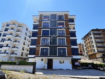 Zambak Caddesi, Atakum, Atakum, Samsun ili, Karadeniz Bölgesi