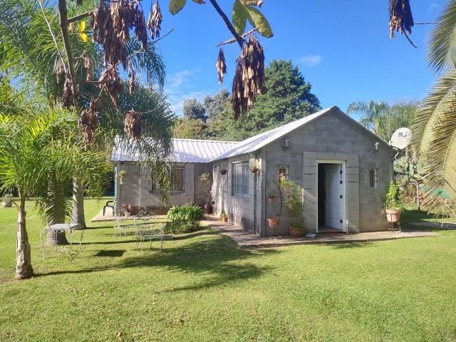 REMAX Río