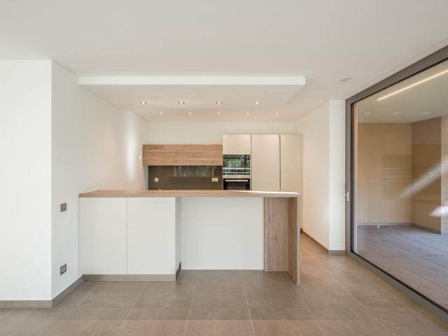 Rent a 3 ½ rooms terrace flat in Comano Flatfox