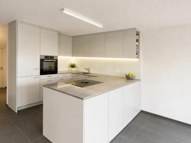 Rent a 3 ½ rooms terrace flat in Oberwil BL Flatfox