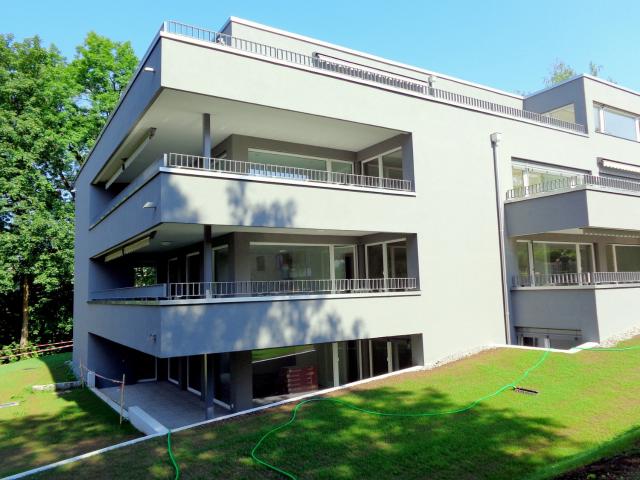 Rent a 3 ½ rooms terrace flat in Zürich Flatfox