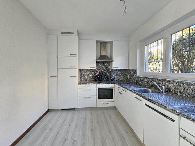 Rent a 3 ½ rooms apartment in Comano Flatfox