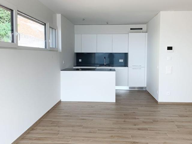 Rent a 3 ½ rooms apartment in Comano Flatfox