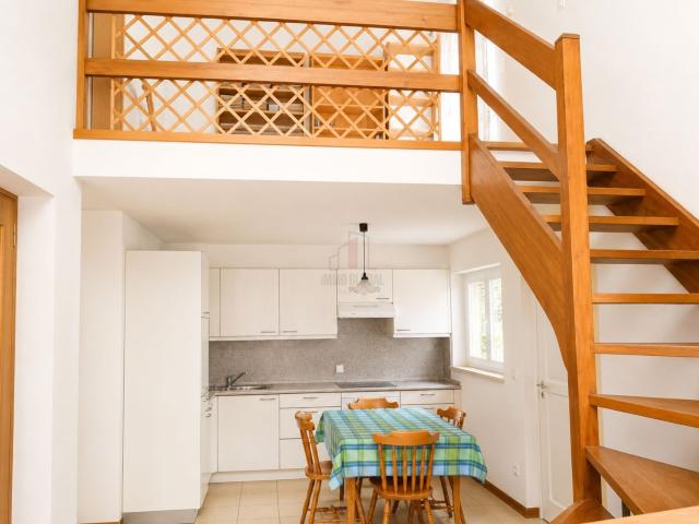 Rent a 3 ½ rooms apartment in Cadro Flatfox
