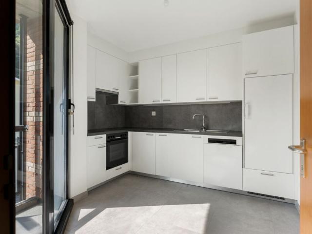 Rent a 3 ½ rooms apartment in Canobbio Flatfox