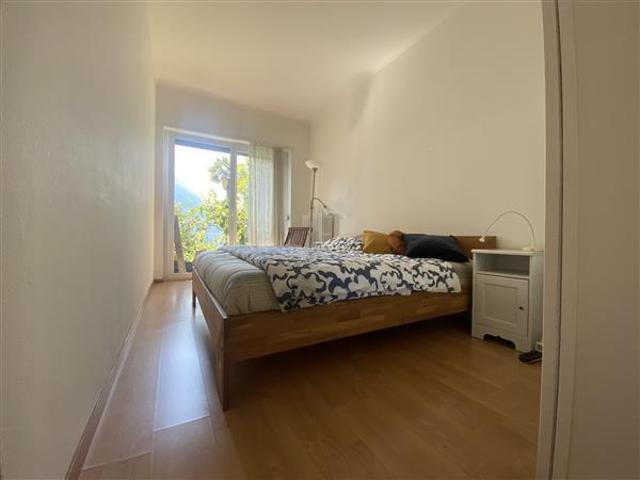 Rent a 3 ½ rooms apartment in Castagnola Flatfox