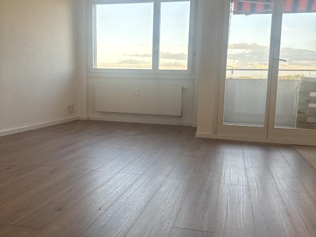 Rent a 3 ½ rooms apartment in Amriswil Flatfox