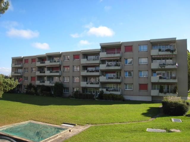 Rent a 3 ½ rooms apartment in Amriswil Flatfox