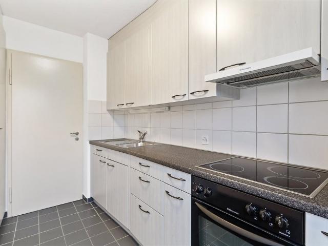 Rent a 3 rooms apartment in Aarau Flatfox