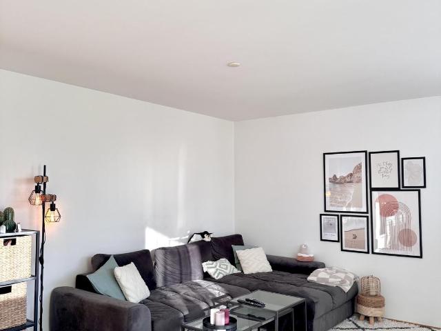 Rent a 3 ½ rooms apartment in Aarau Flatfox