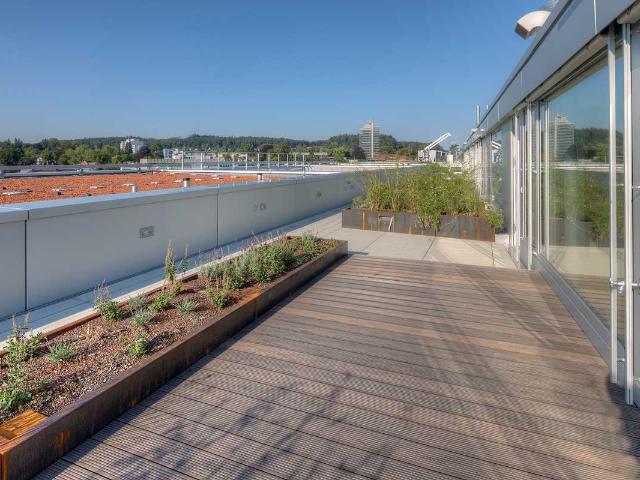 Rent a 3 ½ rooms apartment in Aarau Flatfox