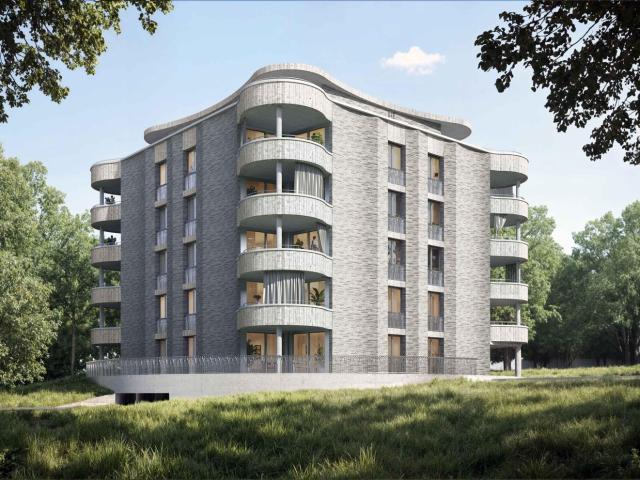 Rent a 3 rooms apartment in Aarau Flatfox