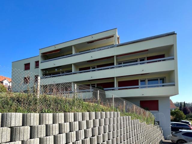 Rent a 3 ½ rooms apartment in Aarberg Flatfox
