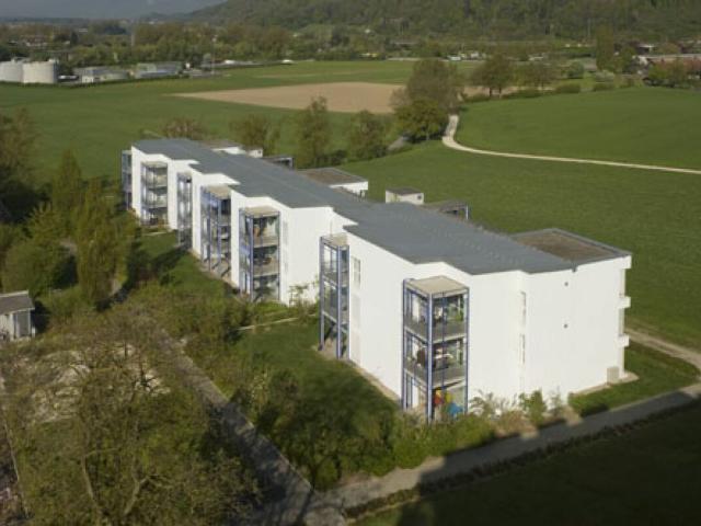 Rent a 3 ½ rooms apartment in Aarburg Flatfox