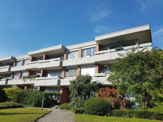 Rent a 3 ½ rooms apartment in Adliswil Flatfox