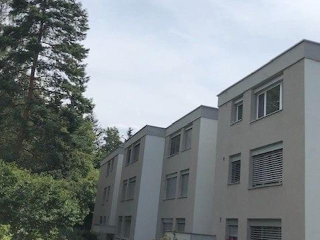 Rent a 3 ½ rooms apartment in Adliswil Flatfox