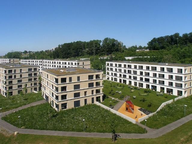Rent a 3 ½ rooms apartment in Adliswil Flatfox