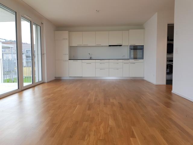 Rent a 3 ½ rooms apartment in Aegerten Flatfox