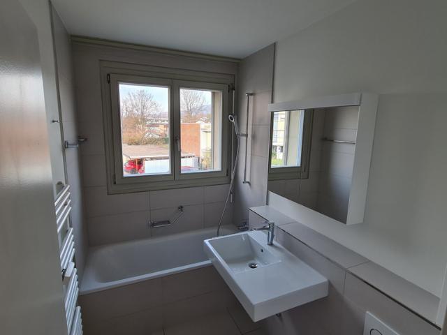 Rent a 3 rooms apartment in Aesch Flatfox
