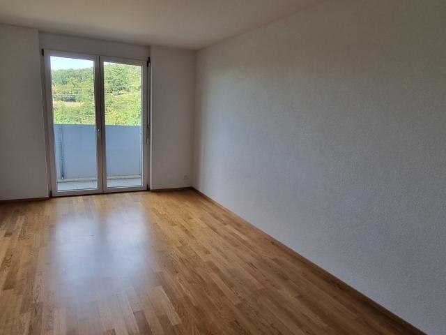 Rent a 3 ½ rooms apartment in Aesch Flatfox