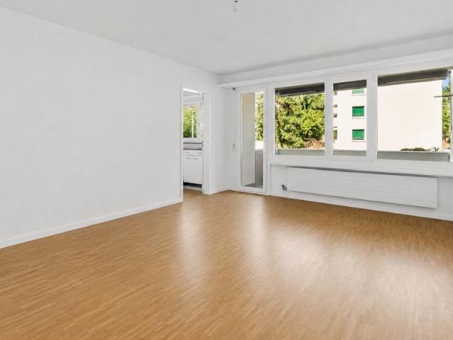 Rent a 3 ½ rooms apartment in Aesch Flatfox