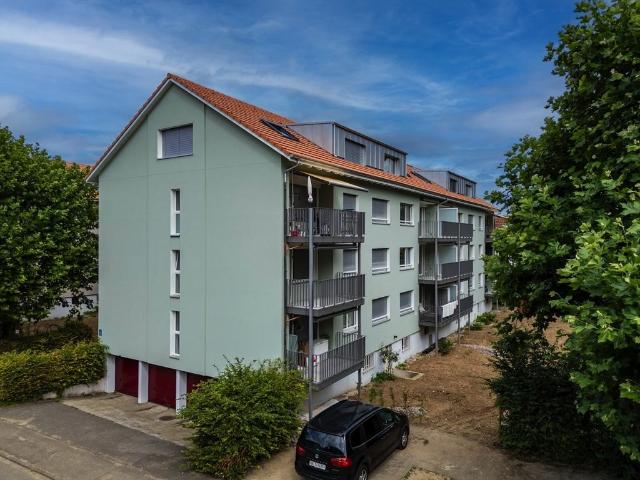 Rent a 3 rooms apartment in Allschwil Flatfox