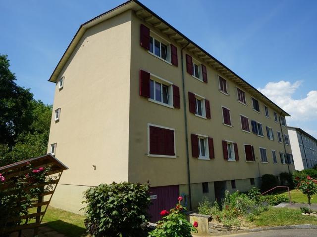 Rent a 3 rooms apartment in Allschwil Flatfox