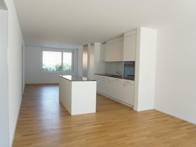 Rent a 3 ½ rooms apartment in Arbon Flatfox