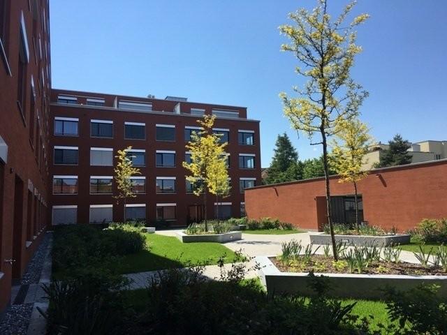 Rent a 3 ½ rooms apartment in Arbon Flatfox