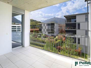 Rent a 3 ½ rooms apartment in Ascona Flatfox